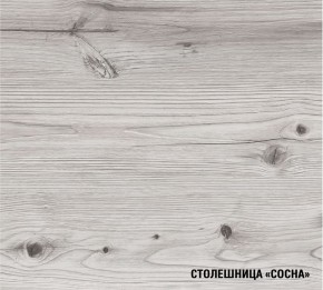 АСАЯ Кухонный гарнитур Экстра 2 (3000 мм) ПМ в Ижевске - izhevsk.ok-mebel.com | фото 8