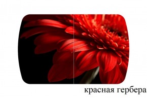 БОСТОН - 2 опоры Триумф в Ижевске - izhevsk.ok-mebel.com | фото 50