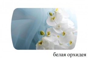БОСТОН - 2 опоры Триумф в Ижевске - izhevsk.ok-mebel.com | фото 52