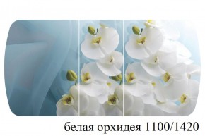 БОСТОН - 3 Стол раздвижной 1100/1420 опоры Триумф в Ижевске - izhevsk.ok-mebel.com | фото 9