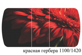 БОСТОН - 3 Стол раздвижной 1100/1420 опоры Триумф в Ижевске - izhevsk.ok-mebel.com | фото 19