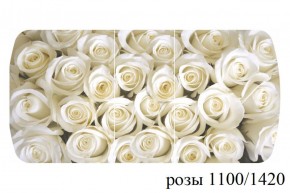 БОСТОН - 3 Стол раздвижной 1100/1420 опоры Триумф в Ижевске - izhevsk.ok-mebel.com | фото 37