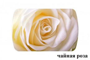 БОСТОН - 3 Стол раздвижной 1100/1420 опоры Триумф в Ижевске - izhevsk.ok-mebel.com | фото 47