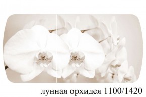 БОСТОН - 3 Стол раздвижной Лунная орхидея 1100/1420 опоры Триумф в Ижевске - izhevsk.ok-mebel.com | фото 3