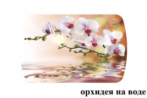 БОСТОН - 3 Стол раздвижной Орхидея на воде 1100/1420 опоры Триумф в Ижевске - izhevsk.ok-mebel.com | фото 2