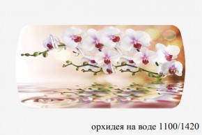 БОСТОН - 3 Стол раздвижной Орхидея на воде 1100/1420 опоры Триумф в Ижевске - izhevsk.ok-mebel.com | фото 3