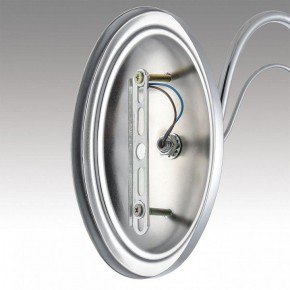 Бра Lumion INCANTO 8034/1W в Ижевске - izhevsk.ok-mebel.com | фото 7