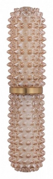 Бра ST-Luce SAGUARO SL6144.301.01 в Ижевске - izhevsk.ok-mebel.com | фото 4
