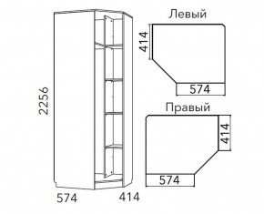 Детская Фанк Шкаф угловой Левый/Правый НМ 013.04-02 М в Ижевске - izhevsk.ok-mebel.com | фото 3