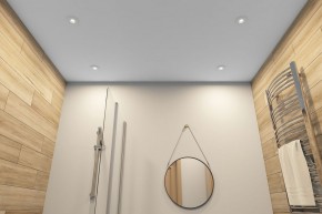 DK2036-WH Встраиваемый светильник влагозащ., IP 44, до 15 Вт, GU10, LED, белый, алюминий в Ижевске - izhevsk.ok-mebel.com | фото 5