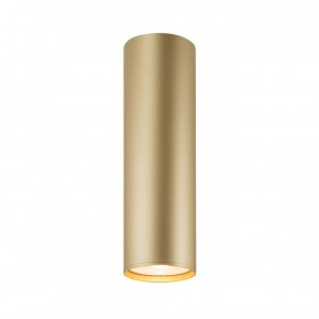 DK2052-SG Накладной светильник, IP 20, 15 Вт, GU10, матовое золото, алюминий в Ижевске - izhevsk.ok-mebel.com | фото