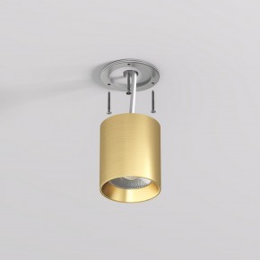 DK2610-SB Накладной светильник SHINE TUBE со светодиодом, D70*H80, IP20, 3000К, 10W, RA?90, сатинированная латунь, алюминий в Ижевске - izhevsk.ok-mebel.com | фото 3