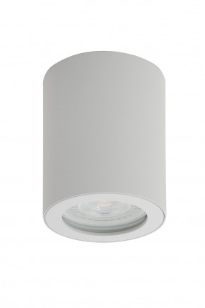 DK3007-WH Накладной светильник влагозащ., IP 44, 15 Вт, GU10, белый, алюминий в Ижевске - izhevsk.ok-mebel.com | фото