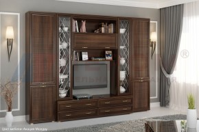 Гостиная Карина Композиция 19 (Акация Молдау) в Ижевске - izhevsk.ok-mebel.com | фото 5