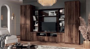 ПРЕМЬЕР Гостиная (Дуб Самдал) в Ижевске - izhevsk.ok-mebel.com | фото