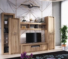 ТЕРРА Гостиная Вариант №1 МДФ (Дуб сонома) в Ижевске - izhevsk.ok-mebel.com | фото