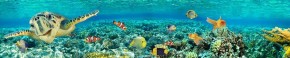 Кухонный фартук Фауна 022 Рыбки МДФ матовый (3000) Fauna в Ижевске - izhevsk.ok-mebel.com | фото