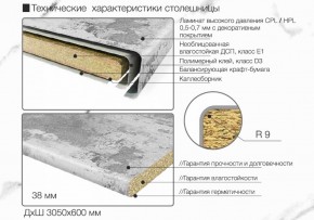 Кухонный фартук со столешницей (А-06) в едином стиле (3050 мм) в Ижевске - izhevsk.ok-mebel.com | фото 6