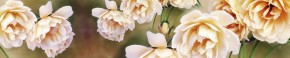 Кухонный фартук Цветы 066 МДФ матовый (3000) Flowers в Ижевске - izhevsk.ok-mebel.com | фото