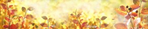 Кухонный фартук Цветы 318 МДФ матовый (3000) Flowers в Ижевске - izhevsk.ok-mebel.com | фото