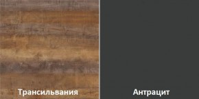 Кухонный гарнитур угловой Трансильвания 2400x1600 мм (Стол. 38 мм) в Ижевске - izhevsk.ok-mebel.com | фото 3