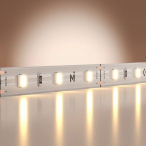 Лента светодиодная Maytoni Base 201162 в Ижевске - izhevsk.ok-mebel.com | фото