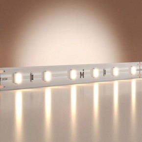 Лента светодиодная Maytoni Base 201166 в Ижевске - izhevsk.ok-mebel.com | фото