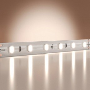 Лента светодиодная Maytoni Base 201167 в Ижевске - izhevsk.ok-mebel.com | фото