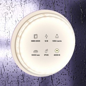 Лента светодиодная Maytoni Led strip 10118 в Ижевске - izhevsk.ok-mebel.com | фото 2