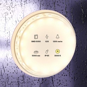 Лента светодиодная Maytoni Led strip 10131 в Ижевске - izhevsk.ok-mebel.com | фото 2