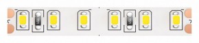 Лента светодиодная Maytoni Led strip 10150 в Ижевске - izhevsk.ok-mebel.com | фото
