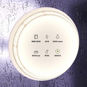 Лента светодиодная Maytoni Led strip 10158 в Ижевске - izhevsk.ok-mebel.com | фото 2