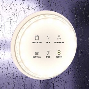 Лента светодиодная Maytoni Led strip 10172 в Ижевске - izhevsk.ok-mebel.com | фото 2