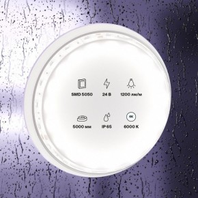 Лента светодиодная Maytoni Led strip 10173 в Ижевске - izhevsk.ok-mebel.com | фото 2