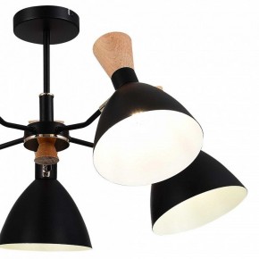 Люстра на штанге EVOLUCE VISTA SLE1256-402-05 в Ижевске - izhevsk.ok-mebel.com | фото 10