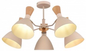 Люстра на штанге EVOLUCE VISTA SLE1256-502-05 в Ижевске - izhevsk.ok-mebel.com | фото 6