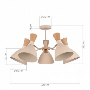 Люстра на штанге EVOLUCE VISTA SLE1256-502-05 в Ижевске - izhevsk.ok-mebel.com | фото 8