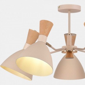 Люстра на штанге EVOLUCE VISTA SLE1256-502-05 в Ижевске - izhevsk.ok-mebel.com | фото 9