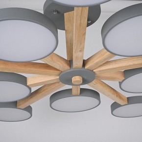 Люстра на штанге Imperiumloft TURNA Gray TURNA-B01 в Ижевске - izhevsk.ok-mebel.com | фото 10