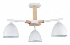 Люстра на штанге Lumion Colange 8095/3C в Ижевске - izhevsk.ok-mebel.com | фото