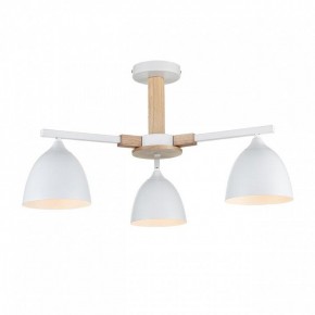 Люстра на штанге Lumion Colange 8095/3C в Ижевске - izhevsk.ok-mebel.com | фото 2