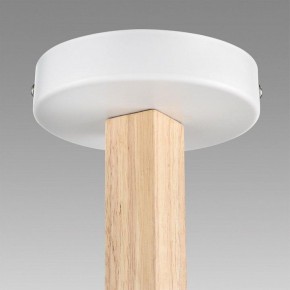 Люстра на штанге Lumion Colange 8095/3C в Ижевске - izhevsk.ok-mebel.com | фото 9