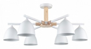 Люстра на штанге Lumion Colange 8095/6C в Ижевске - izhevsk.ok-mebel.com | фото