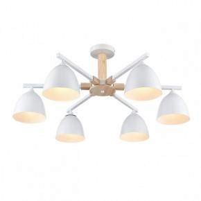Люстра на штанге Lumion Colange 8095/6C в Ижевске - izhevsk.ok-mebel.com | фото 3