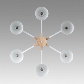 Люстра на штанге Lumion Colange 8095/6C в Ижевске - izhevsk.ok-mebel.com | фото 4
