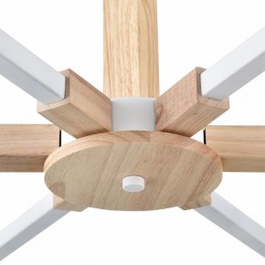 Люстра на штанге Lumion Colange 8095/6C в Ижевске - izhevsk.ok-mebel.com | фото 7