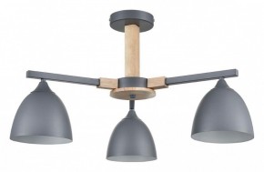 Люстра на штанге Lumion Colange 8096/3C в Ижевске - izhevsk.ok-mebel.com | фото