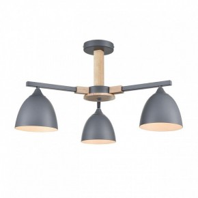 Люстра на штанге Lumion Colange 8096/3C в Ижевске - izhevsk.ok-mebel.com | фото 2