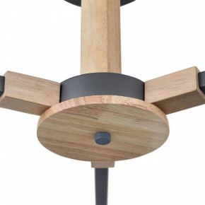 Люстра на штанге Lumion Colange 8096/3C в Ижевске - izhevsk.ok-mebel.com | фото 7