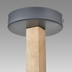Люстра на штанге Lumion Colange 8096/3C в Ижевске - izhevsk.ok-mebel.com | фото 9